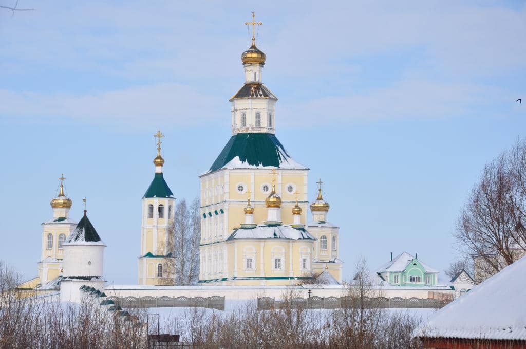 Peacocks in Enclosure