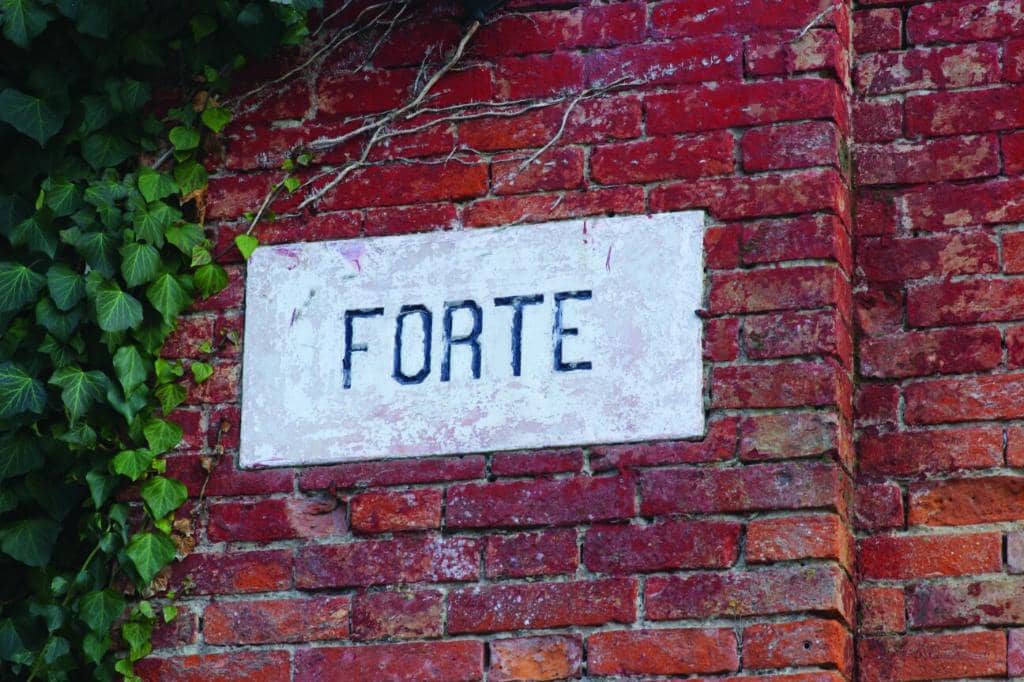 The Fortress Architecture