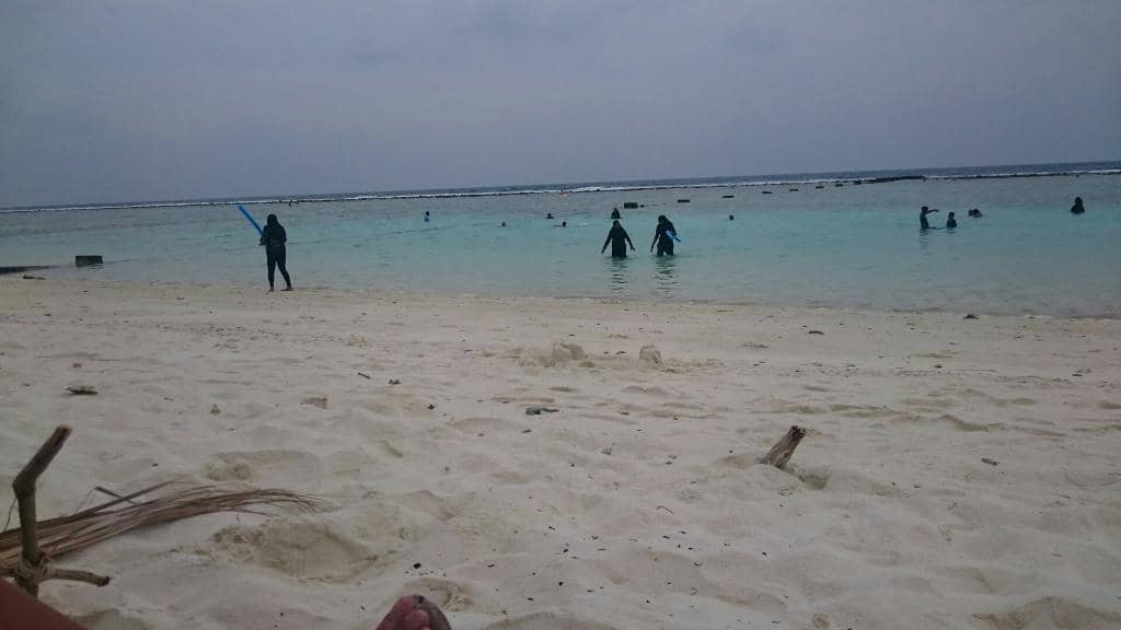 Local Cafes & Restaurants