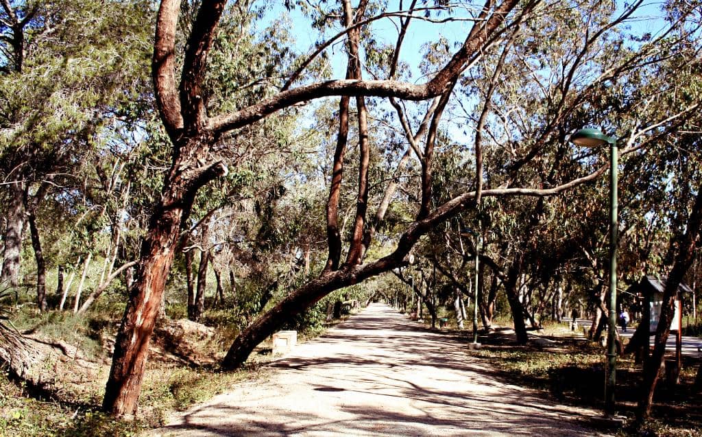 Coastal Path & Pier Views