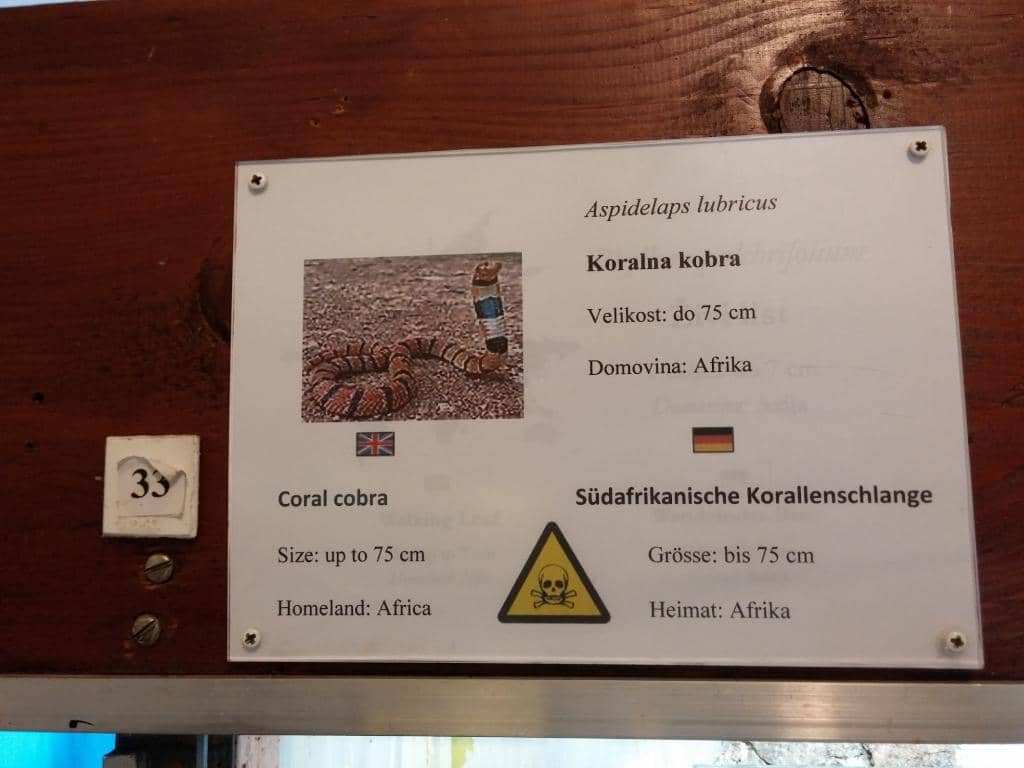 Intricate Aquascaping