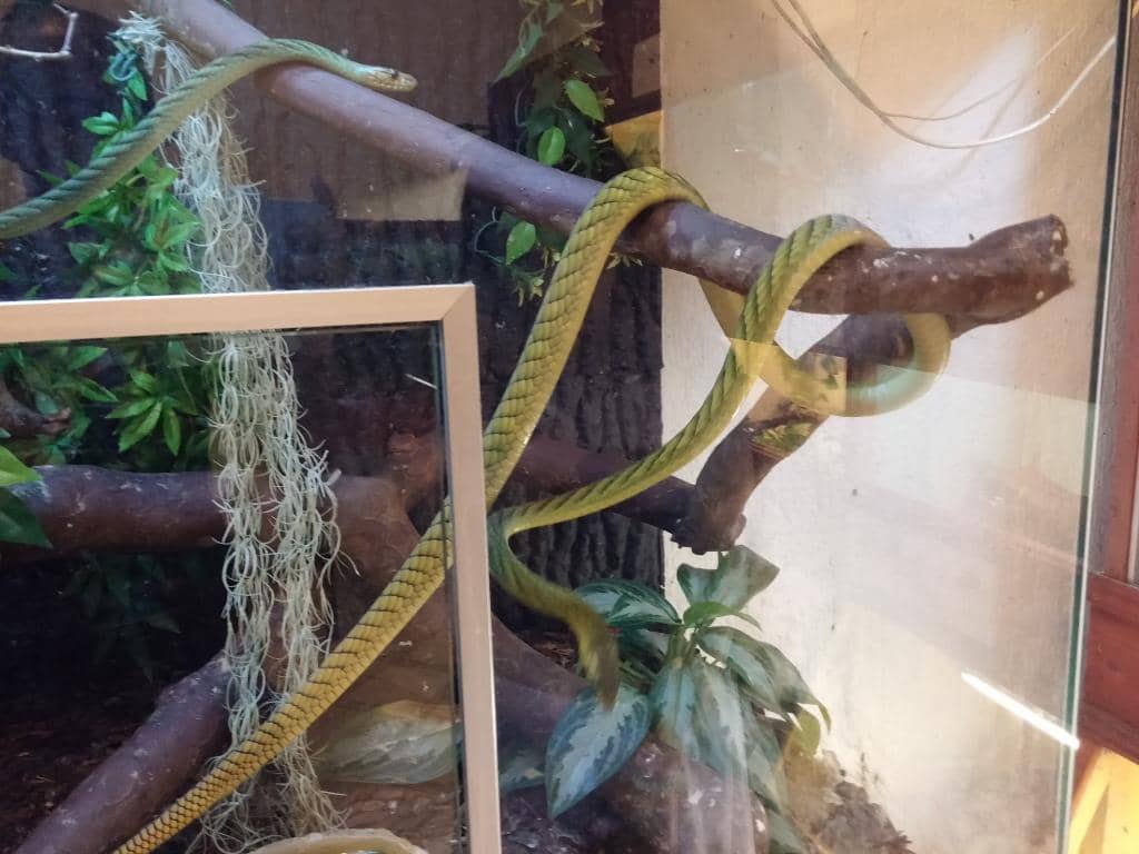 Aquatic Life Exhibits