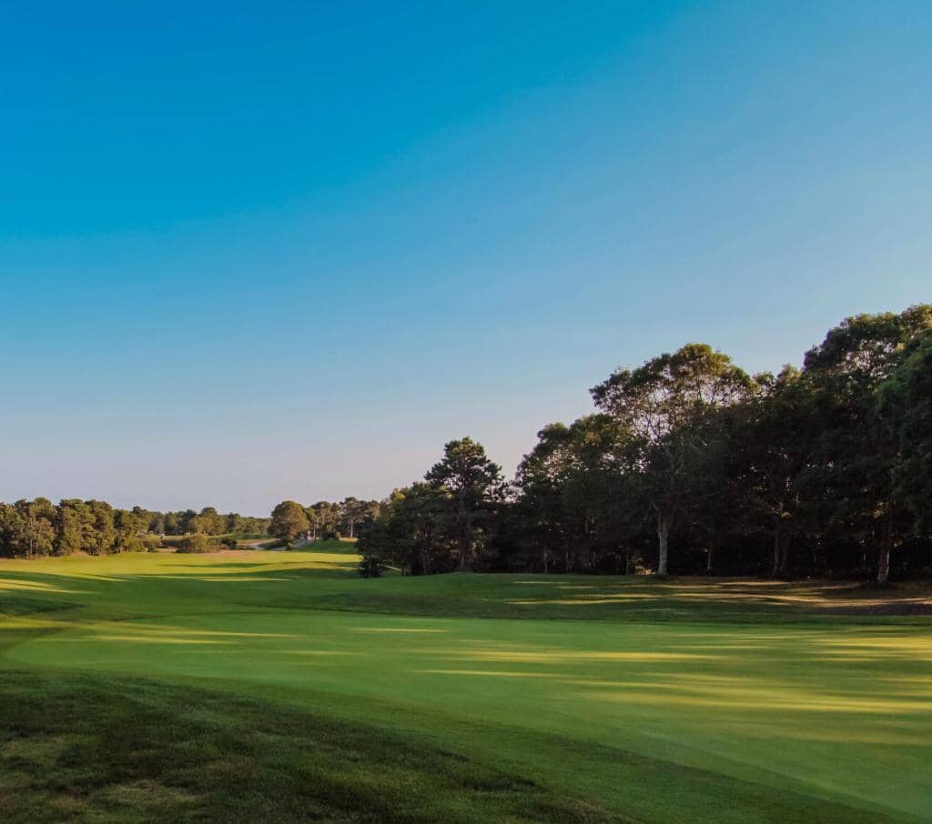 Scenic Bunkers & Fairways