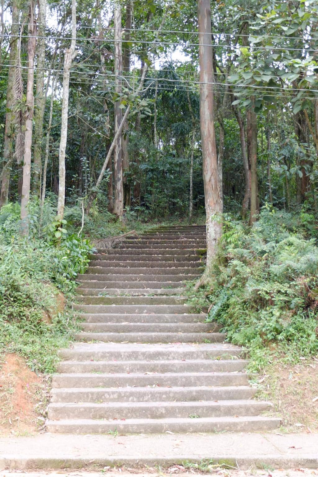 Vertical photo