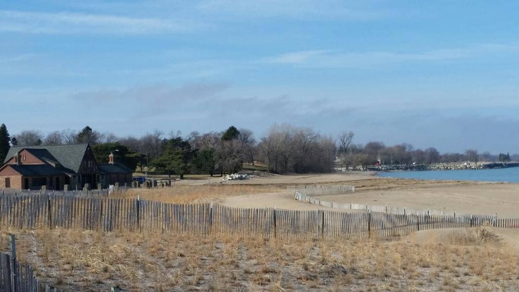 Expansive Sandy Shores