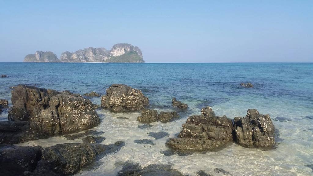 Snorkeling Opportunities
