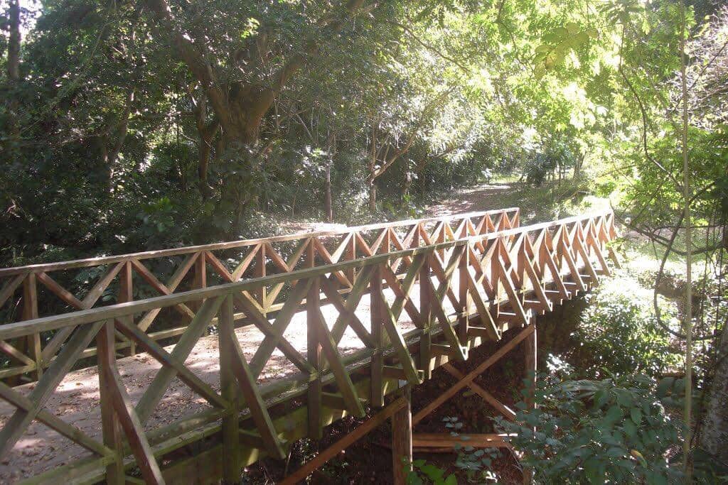 Los Tres Ojos National Park