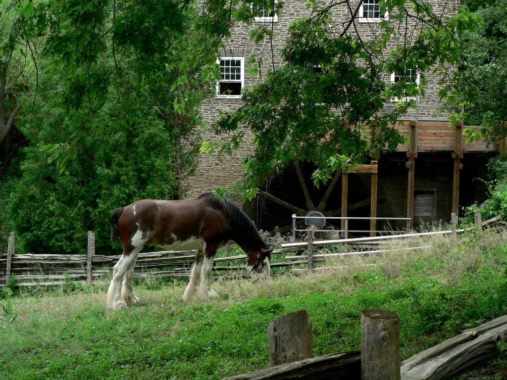 Where Dark Things Dwell