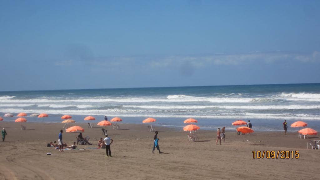 Vibrant Promenade & Cafes