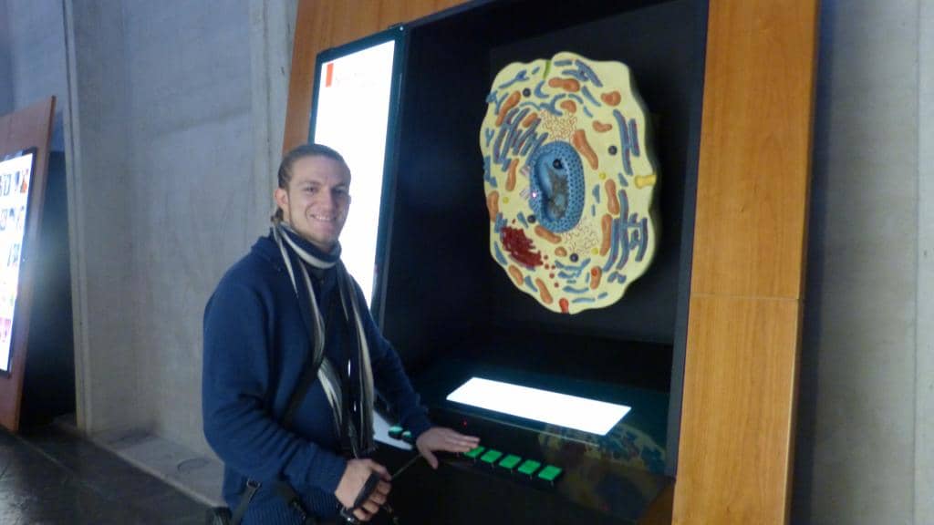 Interactive Physiology Displays