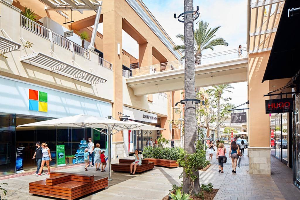 Aritzia & Trendy Fashion