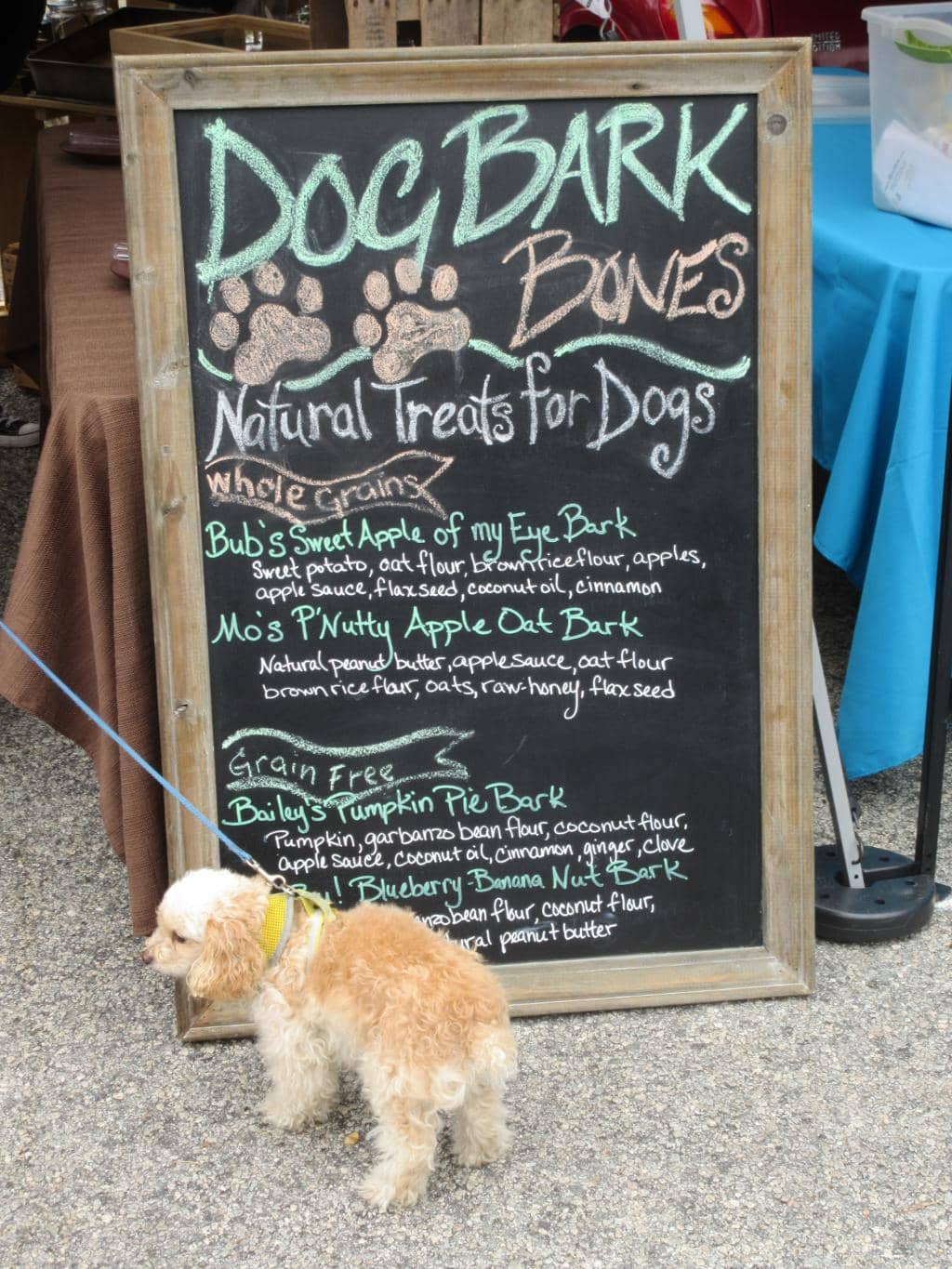 Live Music & Community Vibe