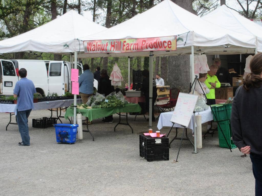 Diverse Food Truck Offerings