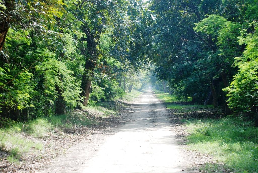 Confluence of Rivers