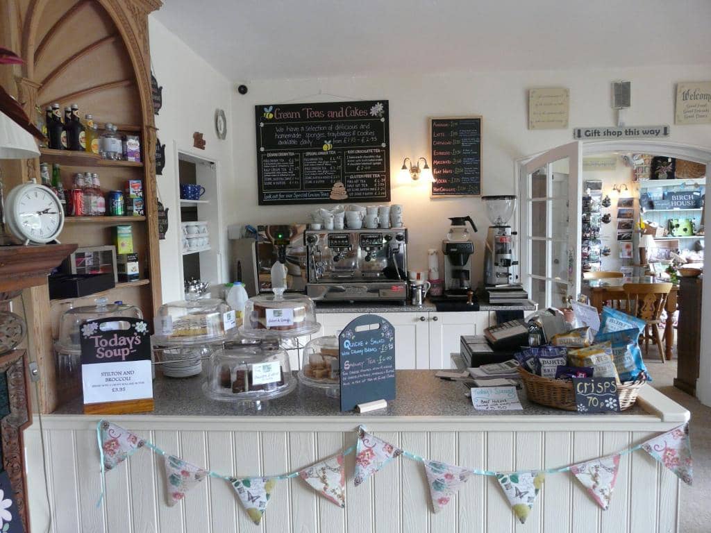 Plant Nursery & Sales