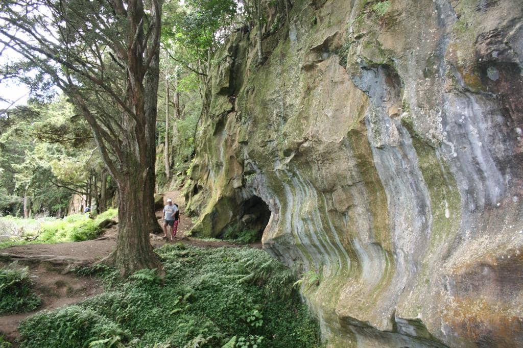 Karst Limestone Formations