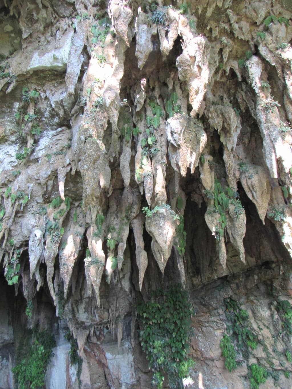 Vast Cavern Chambers