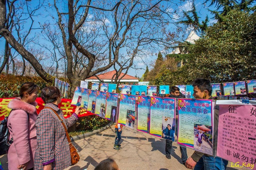 Water Fountain Spectacle