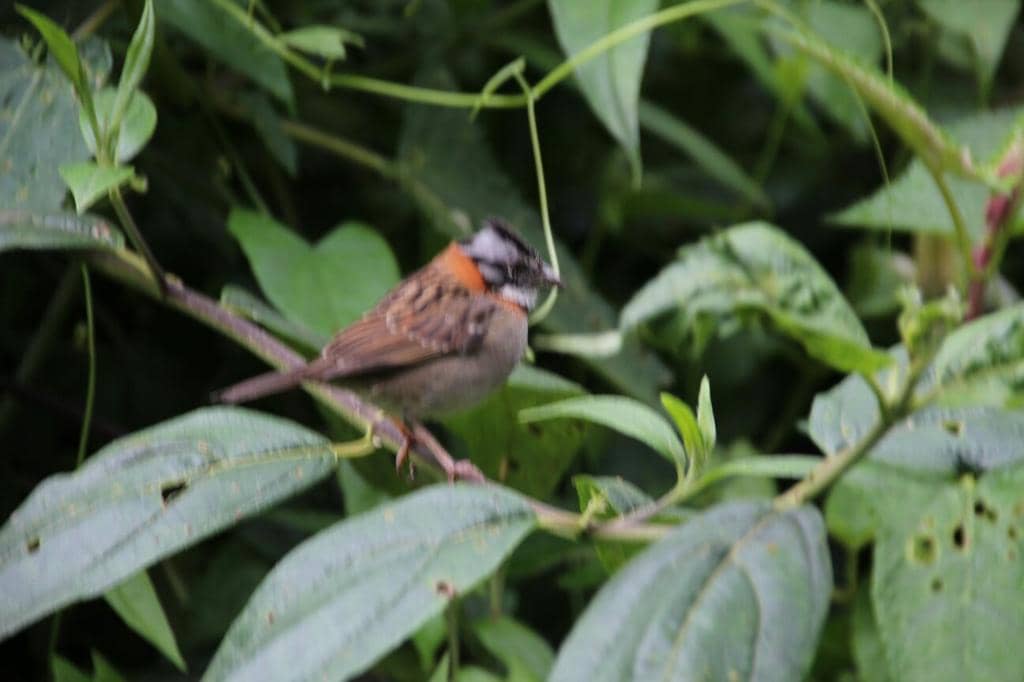 Scenic Nature Trails