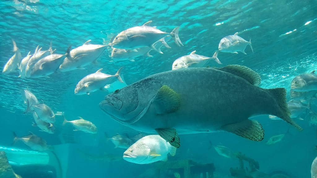 Well-Maintained Grounds