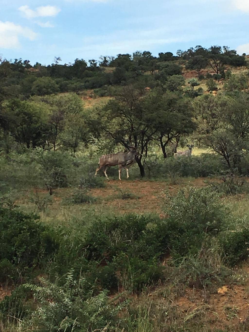 Challenging Cycling Routes
