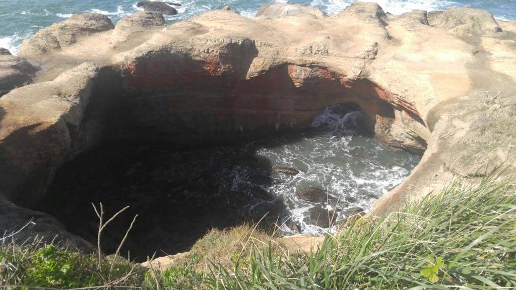Tide Pool Exploration