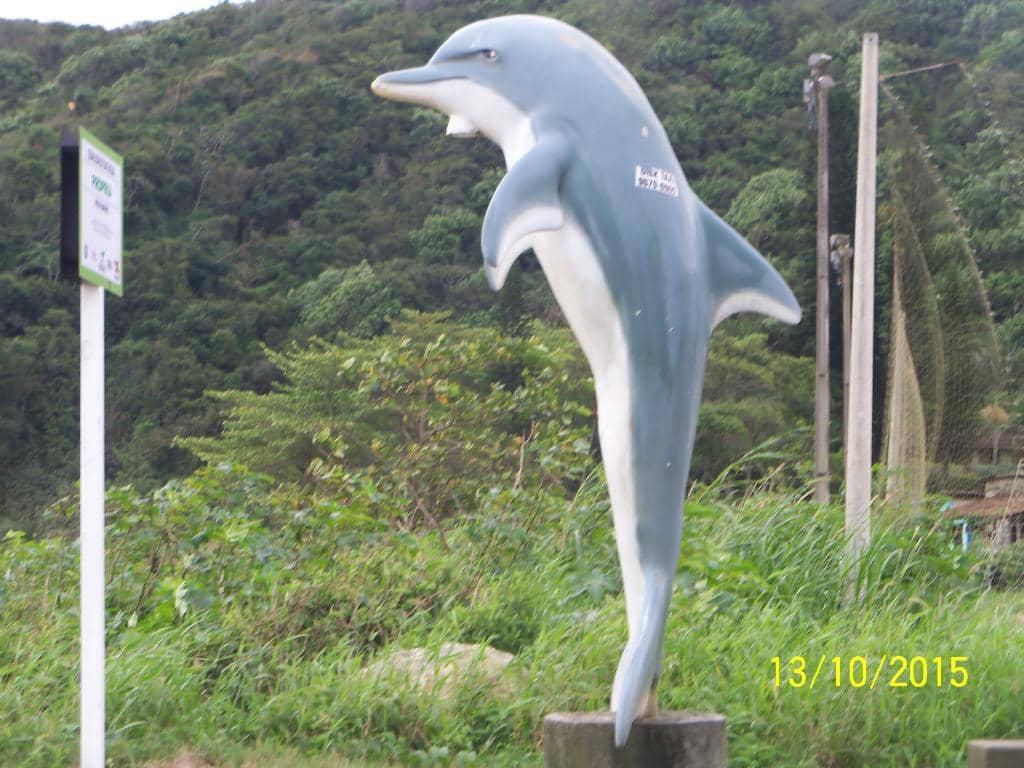 Kiosks and Refreshments