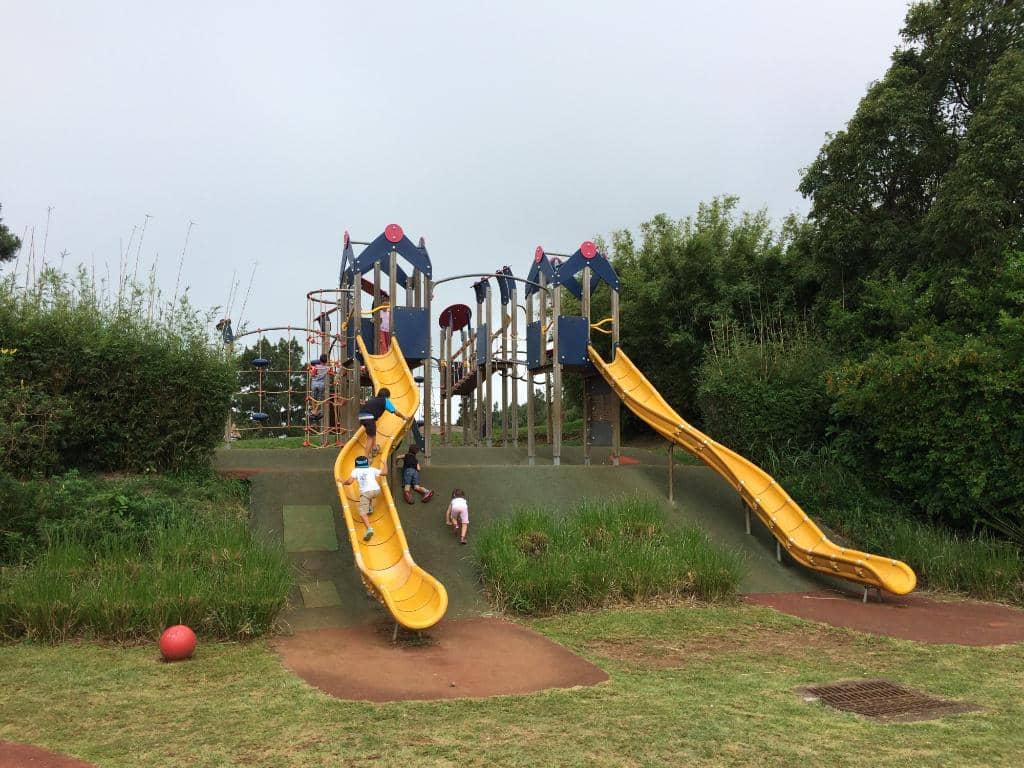 Family Picnic & Play