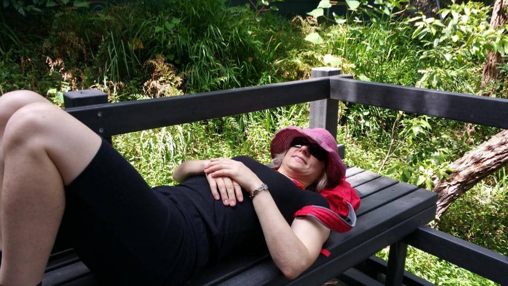 Native Australian Flora