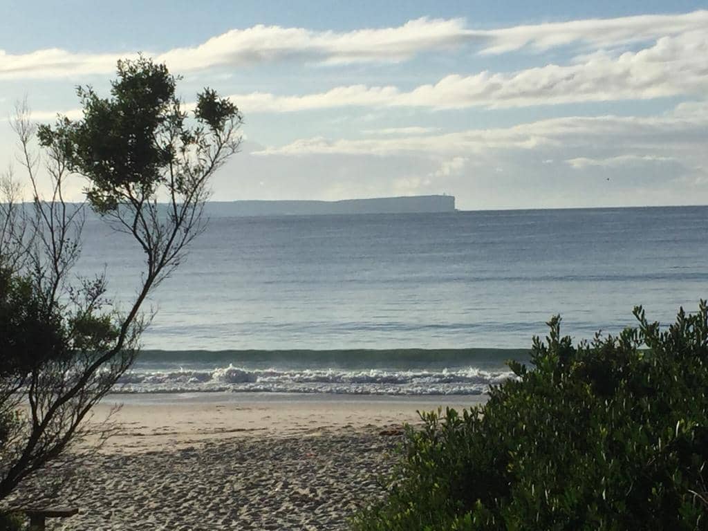 Dog-Friendly Paradise