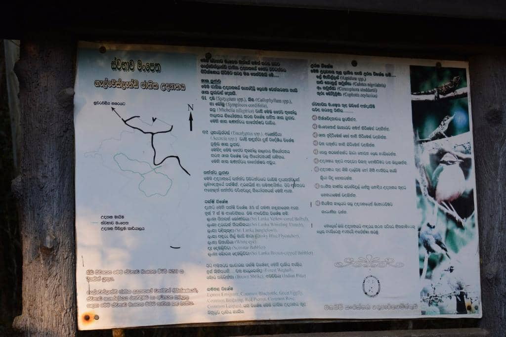 Tranquil Walking Trails