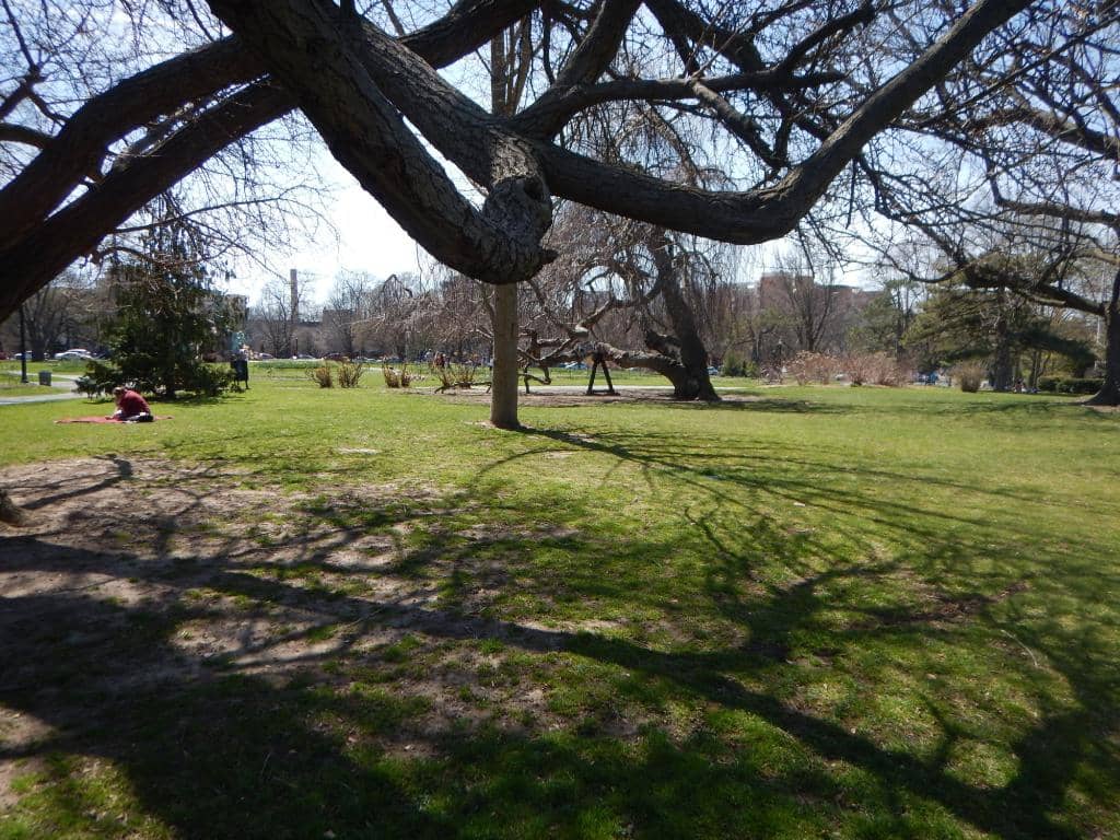 Playground & Picnic Areas