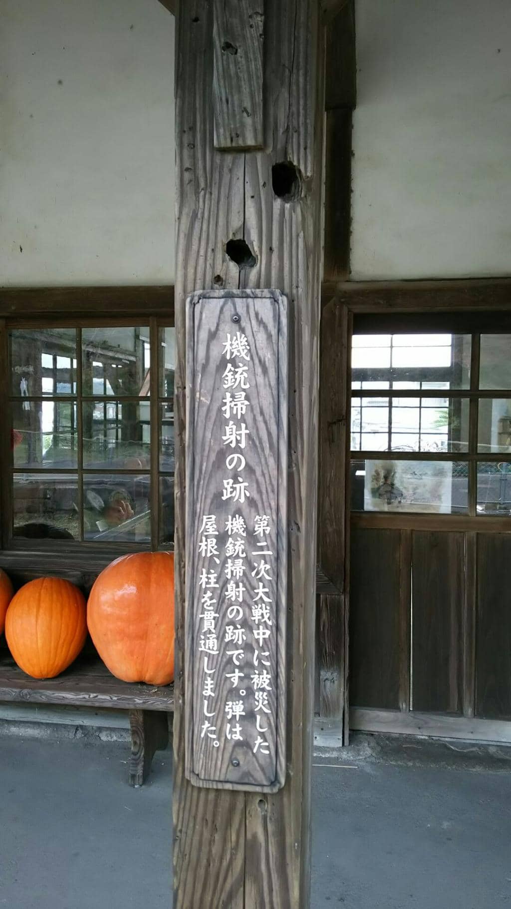 Seasonal Decorations & Carp Themes