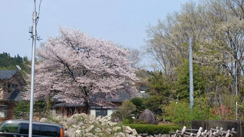 Traditional Japanese Hospitality