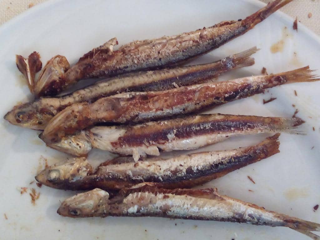 Authentic Handmade Pasta