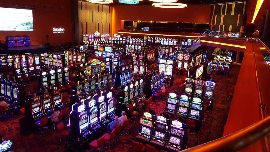 Live Music & Concerts