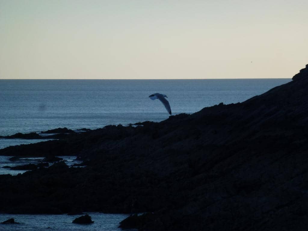 Coastal Path Access