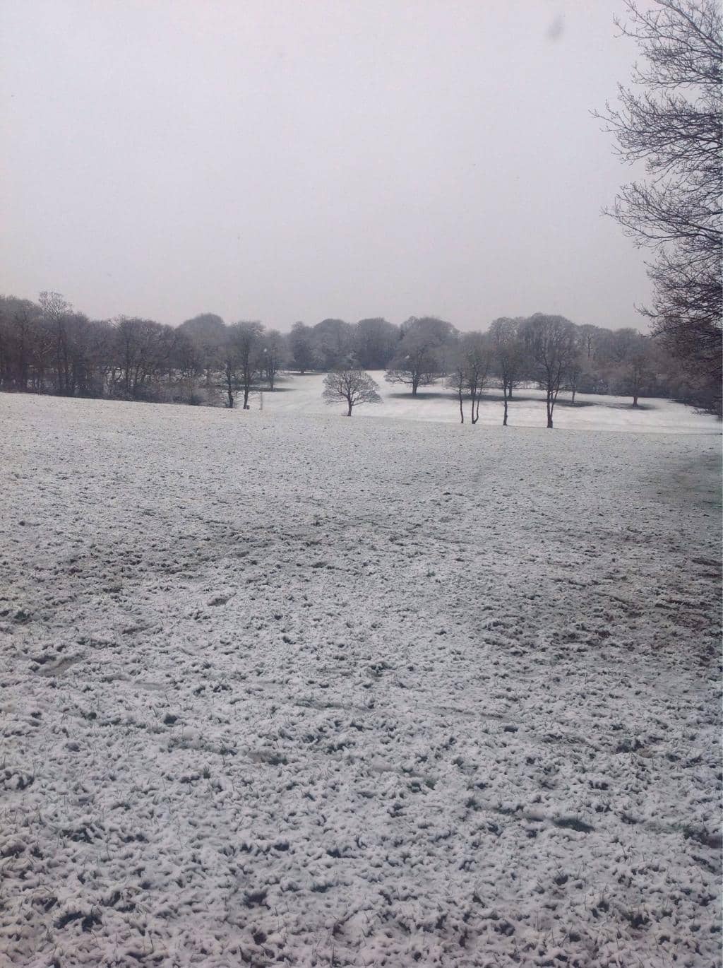 Woodlands and Lake Walks