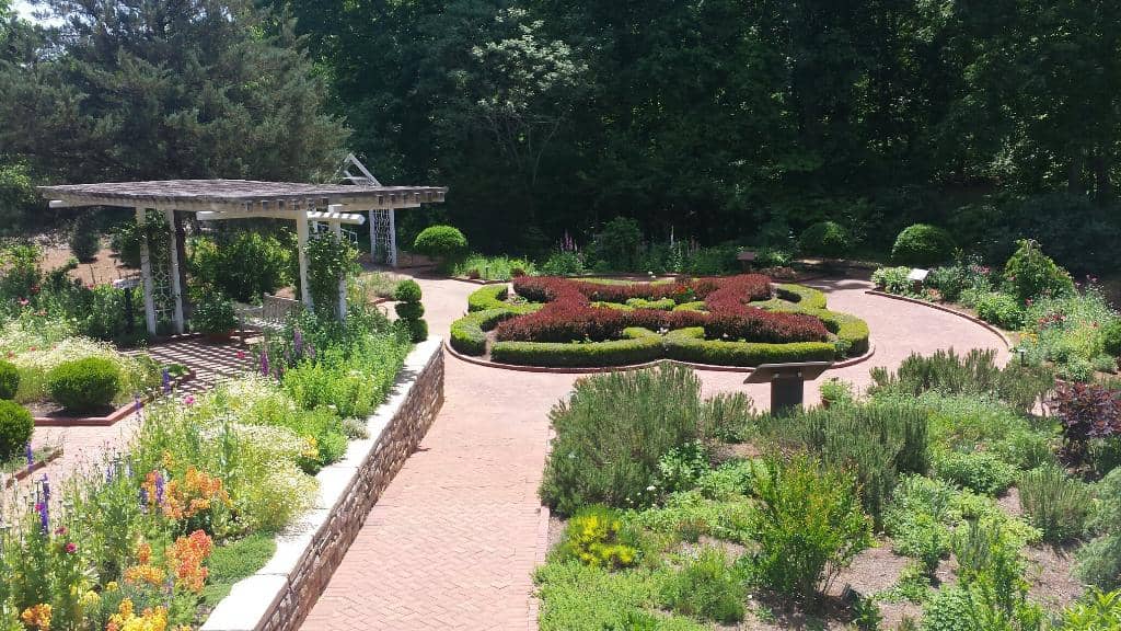 Porcelain Collection