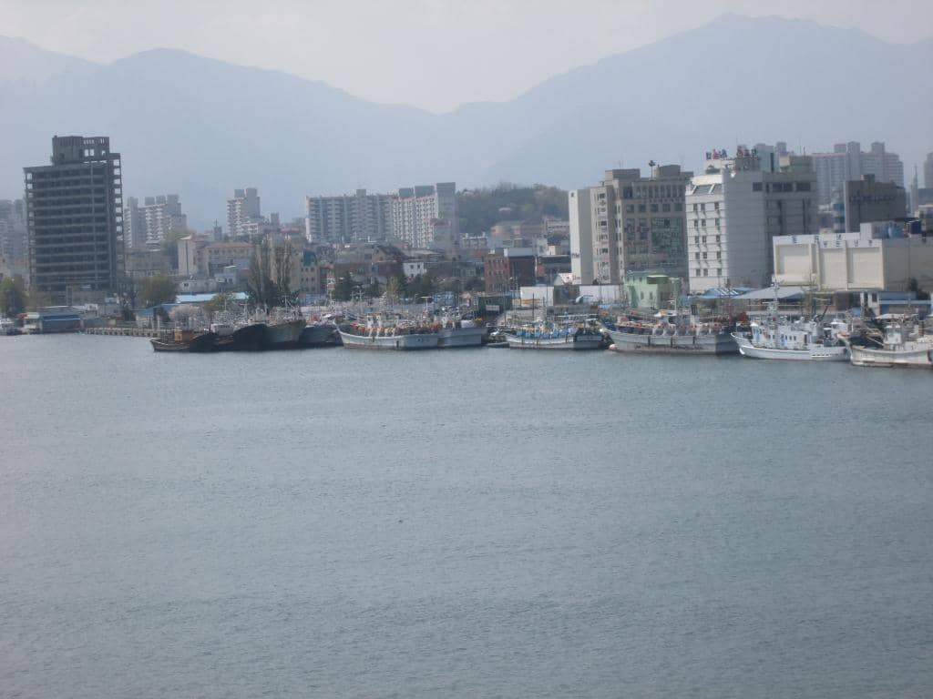 Scenic Walking Paths