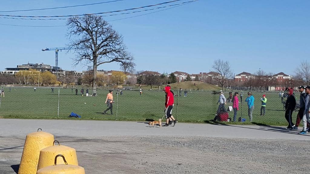 Serene Pond and Fountain