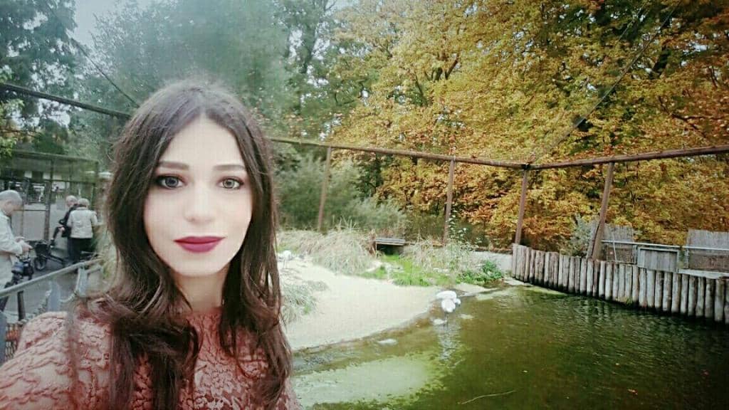 Happy Animals in Vivarium