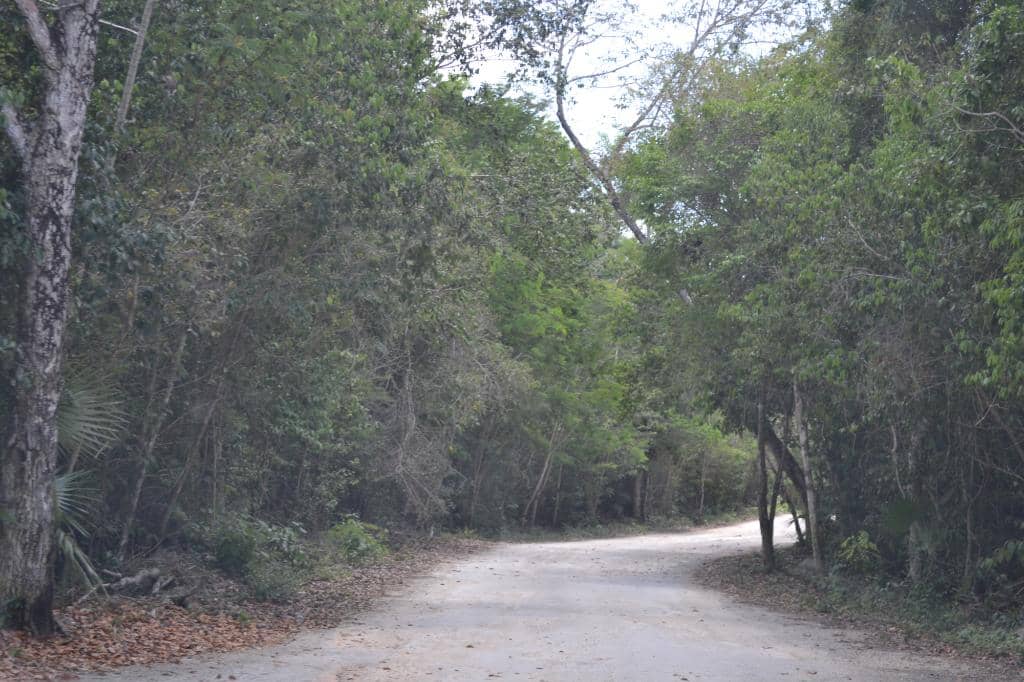 Relaxing Docks & Hammocks
