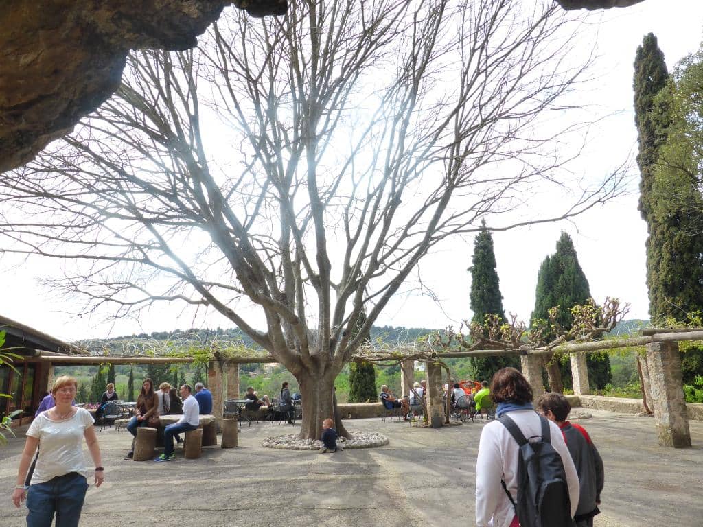 Underrated Natural Beauty