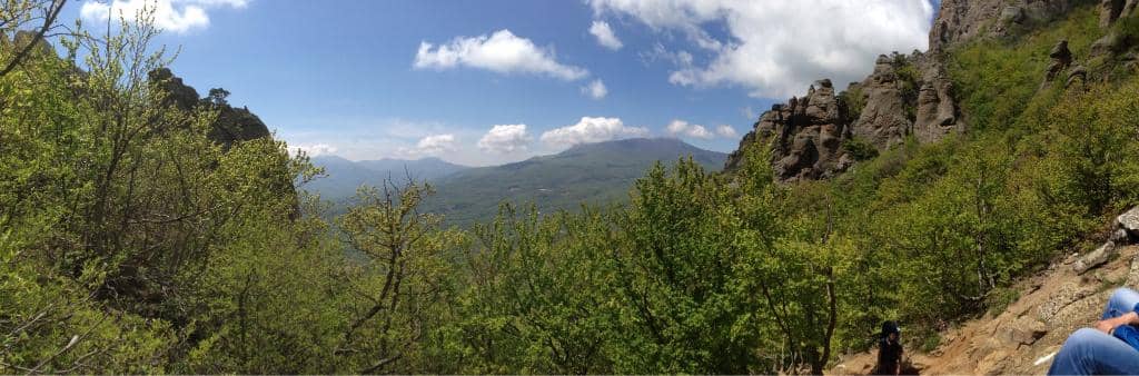 Unique Natural Sculptures