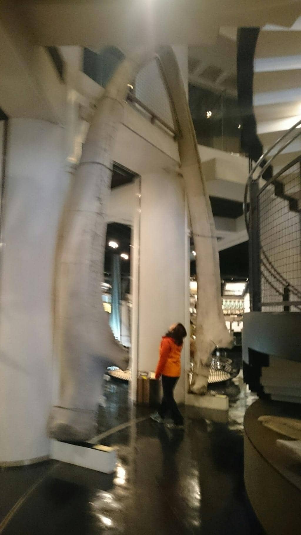 Jomon Period History