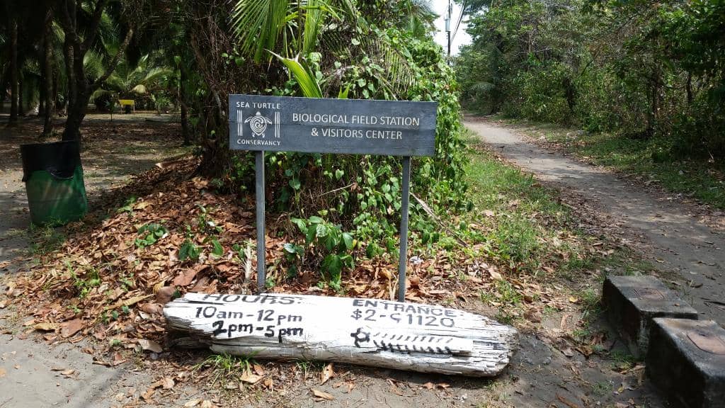 Sea Turtle Conservancy