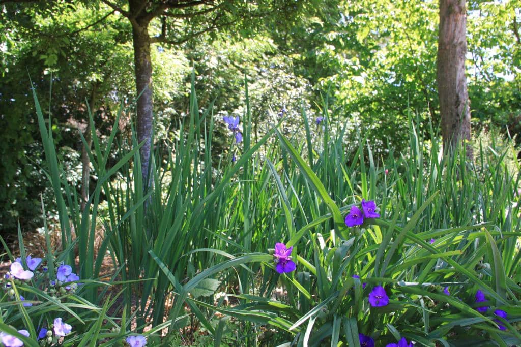 The 'Green Lady's' Haunt