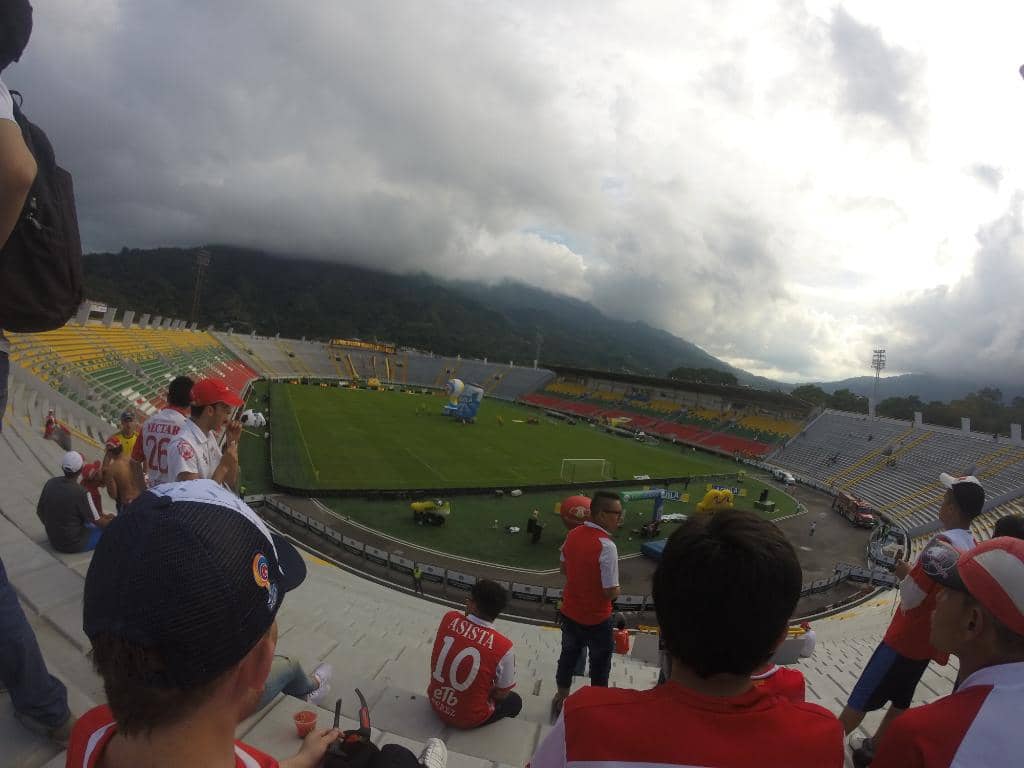 Giant Tree & Ocobo Blooms