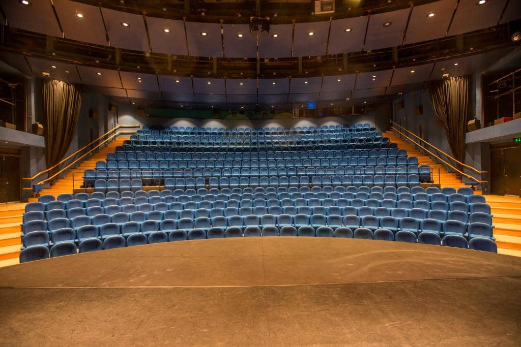 Puppet Making Workshops